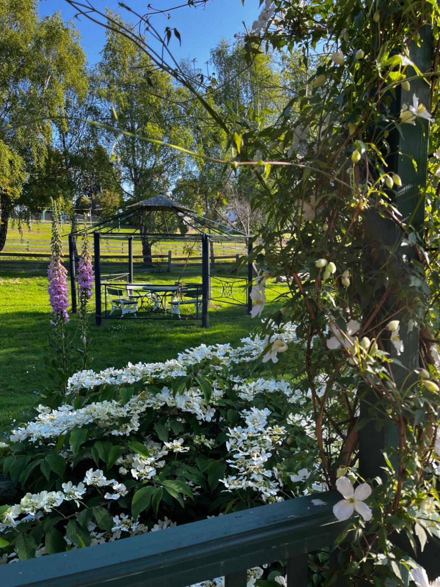 Green Gables B&B Cygnet Buitenkant foto